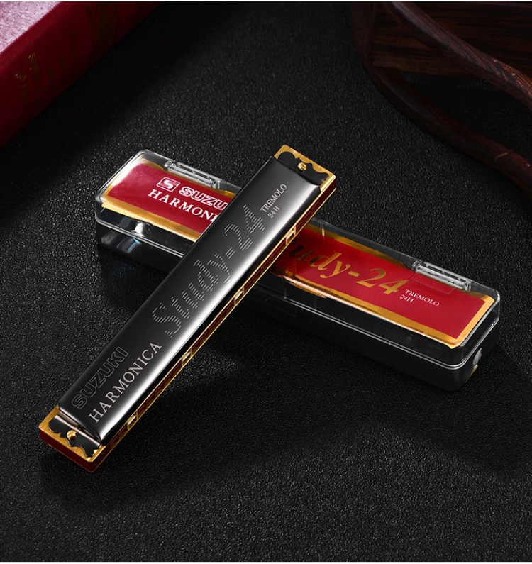 Accent Harmonica cao cấp dành cho người lớn đa âm 28 lỗ C chuyên nghiệp chơi nhạc cụ mới bắt đầu - Nhạc cụ phương Tây