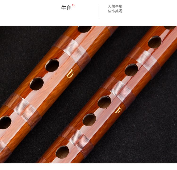 Nhạc cụ Lingsheng Dong Xuehua 8885 sáo hai khúc ký âm sáo thổi sáo trúc chuyên nghiệp sáo trúc - Nhạc cụ dân tộc