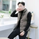 Speed ​​Chen 18 mùa đông cotton mới vest nam phiên bản Hàn Quốc của xu hướng áo vest cotton trẻ trung áo ghi lê nam