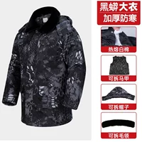 Середина черного питона