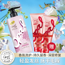 Australian Treasure Scented Shampoo to nourish and heal Smooth Hair Loss of soft and smooth smooth and persistent Remain family shampoo