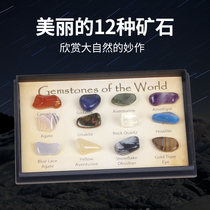 Ore specimen teaching mini specimen Rough world mineral primary school science teaching experimental equipment