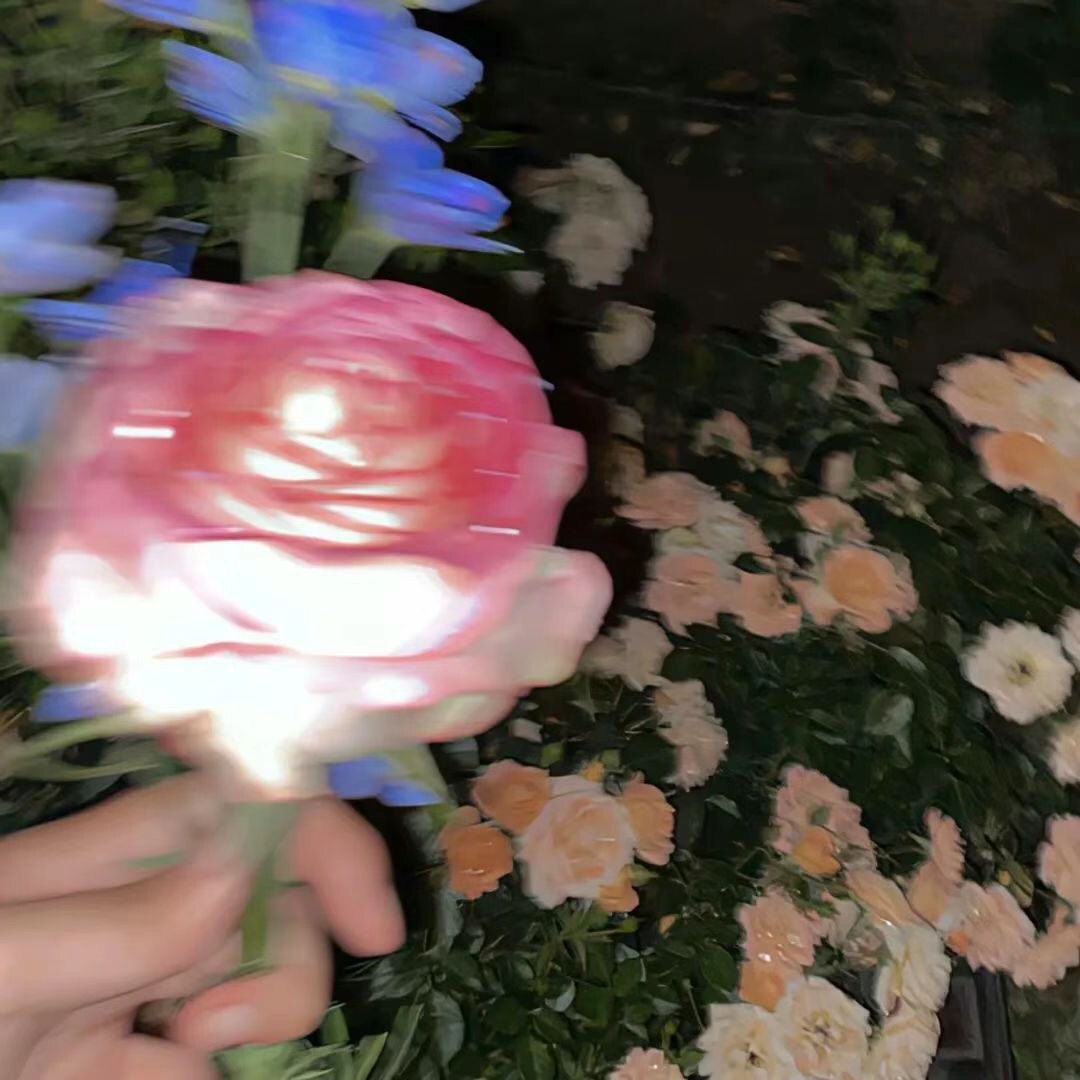 万能の杂货铺