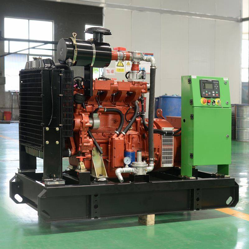 30kw biogas generator Small gas generator set Digester power generation equipment 50 100 200 kW