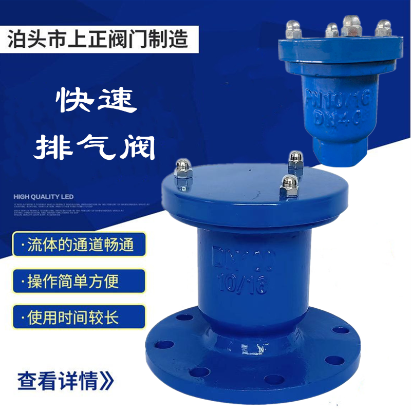 Vent valve cast iron automatic quick in-wire buckle exhaust valve P41X-10DN202532506580100150200
