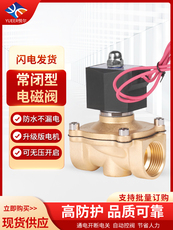 Соленоидный клапан 常闭电磁阀220v24v电磁控制阀水阀铜阀12v4分6分管道开关电子阀门