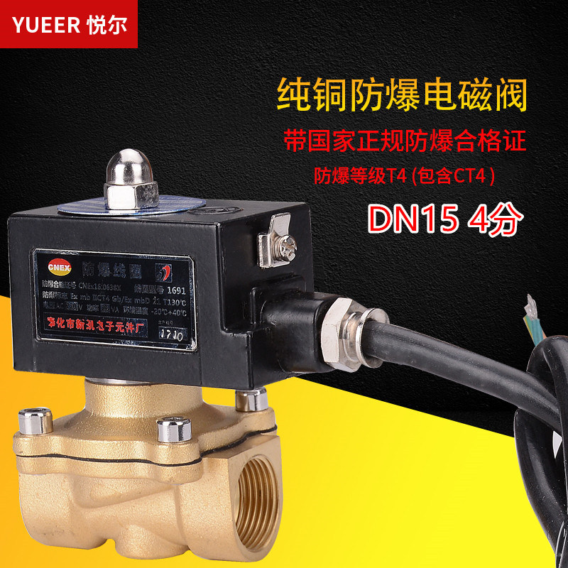 Explosion-proof solenoid valve gas mine water valve valve control pipeline normally closed dn15 50127v220v24v