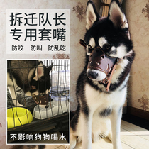 Dog mouth cover dog mask anti-biting and anti-barking machine anti-mess eating gold mauza Moyer dog cover dog cover
