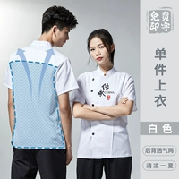 (DZS наследуя