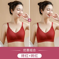 Кирпичный красный+кирпичный красный (темперамент)