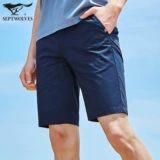 Septwolves, летние шорты для отдыха, шелковые штаны, 2020, свободный прямой крой