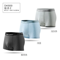 DK669 Комбинация 2