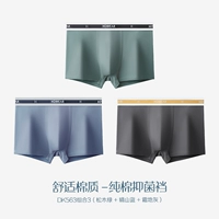 DK563 Комбинация 3