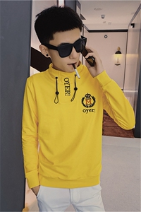 4秋装新款长袖卫衣社会精神小伙刺绣个性帅气卫衣C301B-WY09图片