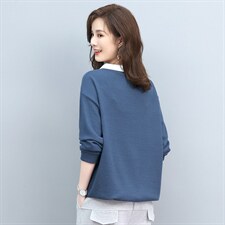 卫衣女春秋宽松大码显瘦拼接刺绣卫衣女T恤两件套，女装衬衫，叶笙衣