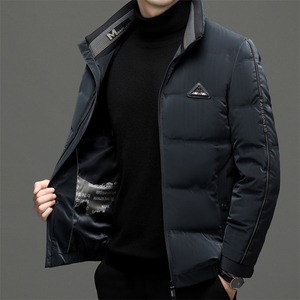 羽绒服男士新款秋冬季宽松休闲中青年保暖立领外套 FF2803-P255图片