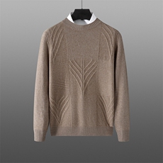 2025年秋季常规长袖其他套头圆领时尚百搭，男装针织衫/毛衣，溪贝羊绒