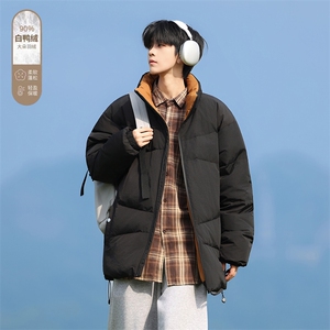 Y2362-P228 L-9XL新标90绒石墨烯冬季新款大码立领羽绒服图片