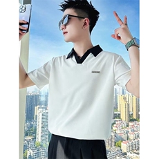 韩版翻领POLO衫男短袖修身V领痞帅半袖上衣服休闲男装潮tT378，男装Polo衫，星座1116A-2（原606A-1）