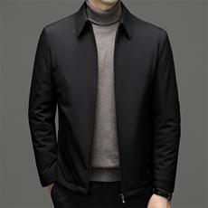 冬季新款羽绒服男2023年中年宽松免烫翻领上衣加厚保暖白鸭绒外套，男装羽绒服，电商B212（原钱塘6029）