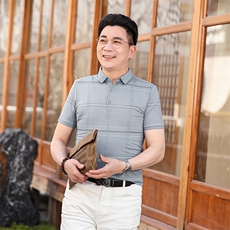 商务休闲男装夏季新款短袖T恤polo衫中年翻领薄款半袖体恤男上装，男装Polo衫，电商B212（原钱塘6029）