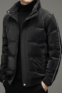 羽绒服男潮流休闲时尚立领保暖夹克外套80%白鸭绒男款ZG2952-P205图片