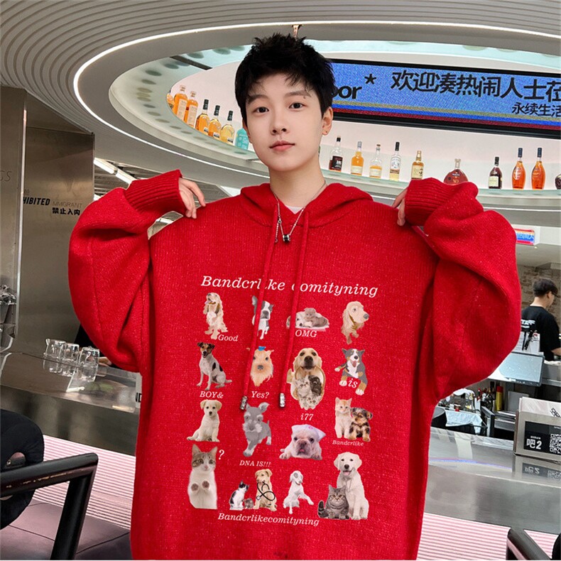 特P55控98高品秋冬季连帽毛衣男复古慵懒风针织衫毛衣外套MYL3317图片