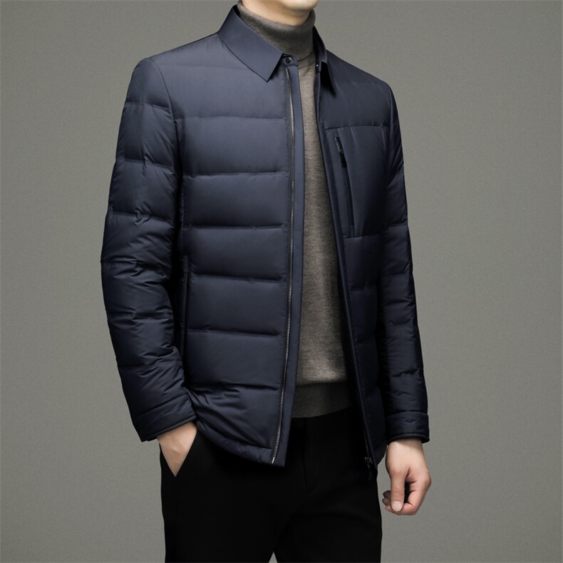 DZ2277钱塘2020-3中年男士冬加厚款商务休闲简约羽绒服P220,男装羽绒服,钱塘207-3