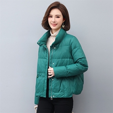 2022新款时尚保暖羽绒服修身显瘦短款外套，女装羽绒服，依恋蒂丝