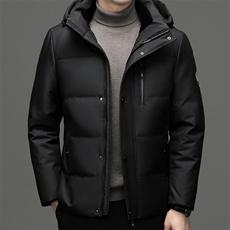 羽绒服男士新款秋冬季宽松休闲中青年保暖连帽外套FF9758-P315，男装羽绒服，星座1105-3