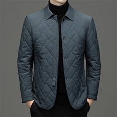 BZ22501钱塘2020-2秋冬中老年男士棉服翻领休闲外套P132，男装棉衣，钱塘207-2