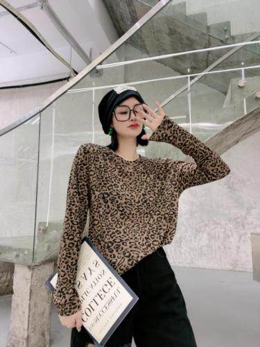 打底，其它，D·YUN