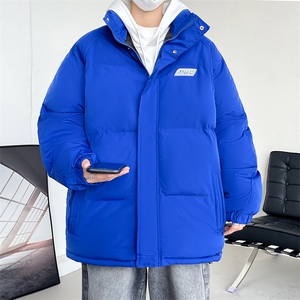 冬季立领男士棉服加厚字母棉衣休闲潮流棉袄青年A266-P04-P65图片