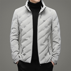 羽绒服中青年男士潮流休闲纯色立领90%绒羽绒男装外套ZG2947-P205，男装羽绒服，电商B212（原钱塘6029）