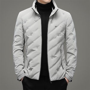 羽绒服中青年男士潮流休闲纯色立领90%绒羽绒男装外套ZG2947-P205图片