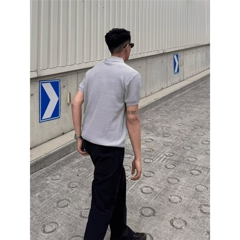 肌理感翻领冰丝Polo衫高级感针织纹理短袖夏季半袖纯色休闲男ins，男装衬衫，星座506A
