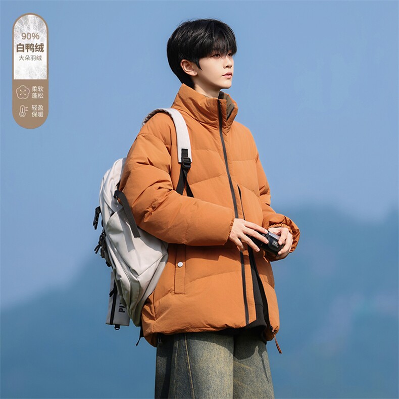 Y2362-P228L-9XL新标90绒石墨烯冬季新款大码立领羽绒服,男装羽绒服,星座109