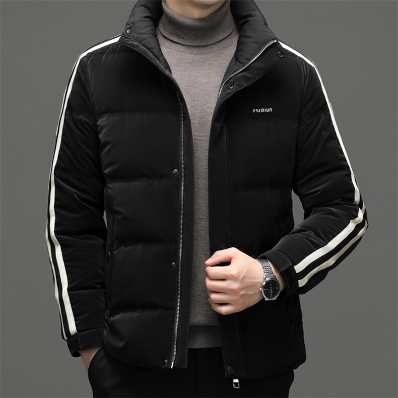 DF8209钱塘2020-2冬季新款时尚休闲立领厚款中年男士羽绒服P290,男装羽绒服,钱塘207-2
