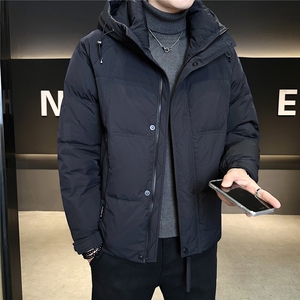 标50绒 羽绒服男冬季2025新款外套 A313-3308-P215控卷后298图片