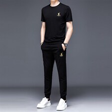 男士休闲百搭套装夏季2023新款圆领短袖t恤运动裤子两件套，男装休闲套装，电商B212（原钱塘6029）