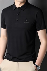 男士短袖T恤翻领POLO衫潮流轻商务夏季休闲时尚体恤上衣 P55图片