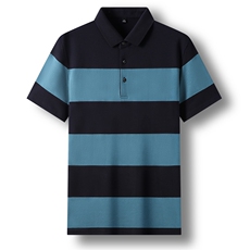 夏季保罗丅恤衬衫领衣服Polo衫男士短袖翻领中年商务休闲半袖体恤，男装T恤，电商B212（原钱塘6029）