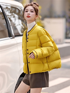 【现货现货】轻薄羽绒服女短款2025冬季新款高级感90白鸭绒小外套图片