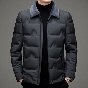 2023年新款羽绒服P245图片