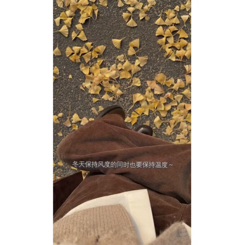 冬季美拉德加绒保暖灯芯绒褶皱半松紧腰休闲款K25023批65,男装棉衣,星座1411A-6