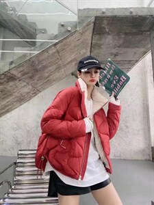 冬季新款韩版时尚羽绒服图片
