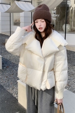 水衣源2319款短款大翻领加厚时尚羽绒服冬季保暖外套女，女装羽绒服，水衣源
