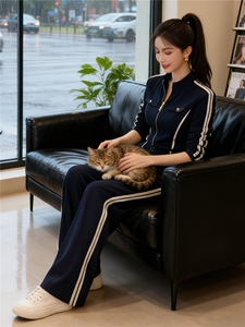 欧货时尚休闲运动套装修身显瘦女秋季新款立领拉链卫衣长裤两件套图片