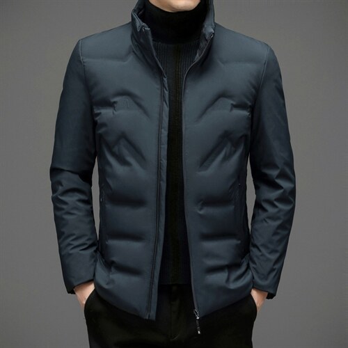 羽绒服外套男立领商务休闲中年男装冬季中老年爸爸装ZL6107-P195，男装羽绒服，电商B212（原钱塘6029）