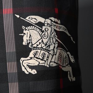 0013 夏季潮流欧美运动短裤男士休闲沙滩裤日常休闲五分裤 P75图片